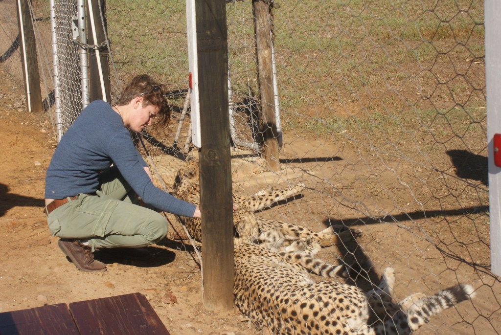 What is “Project : JourneyHome”?